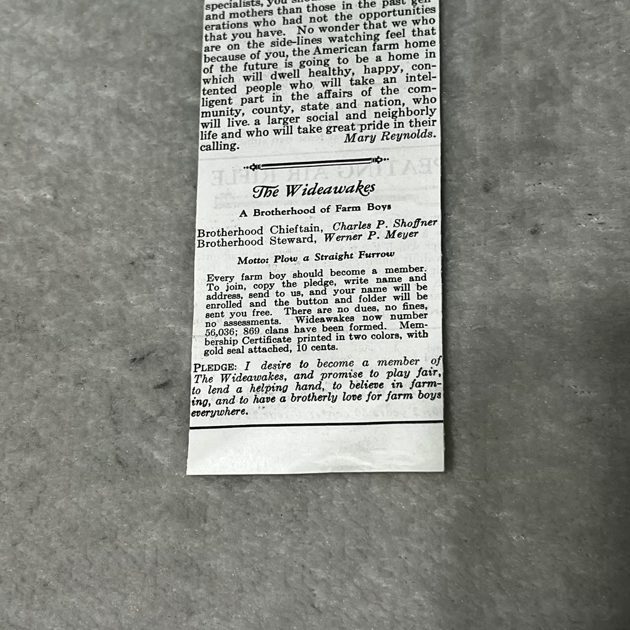 1929 A Letter to Our 4-H Girls Vintage Article From National Farm Journal N