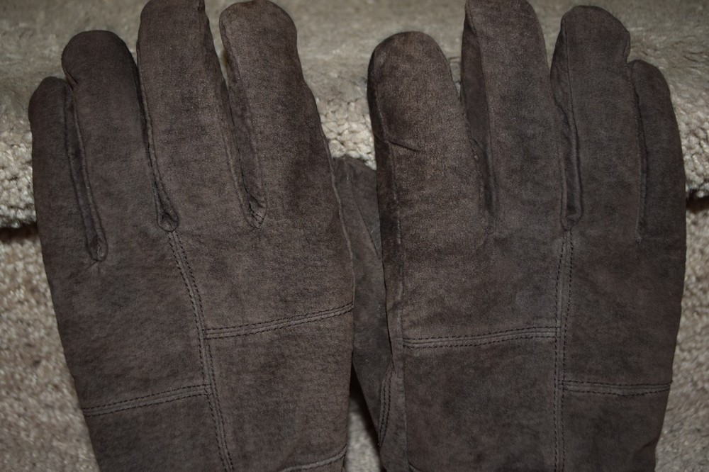 Thinsulate Insulation Lauer Size L Brown Gloves