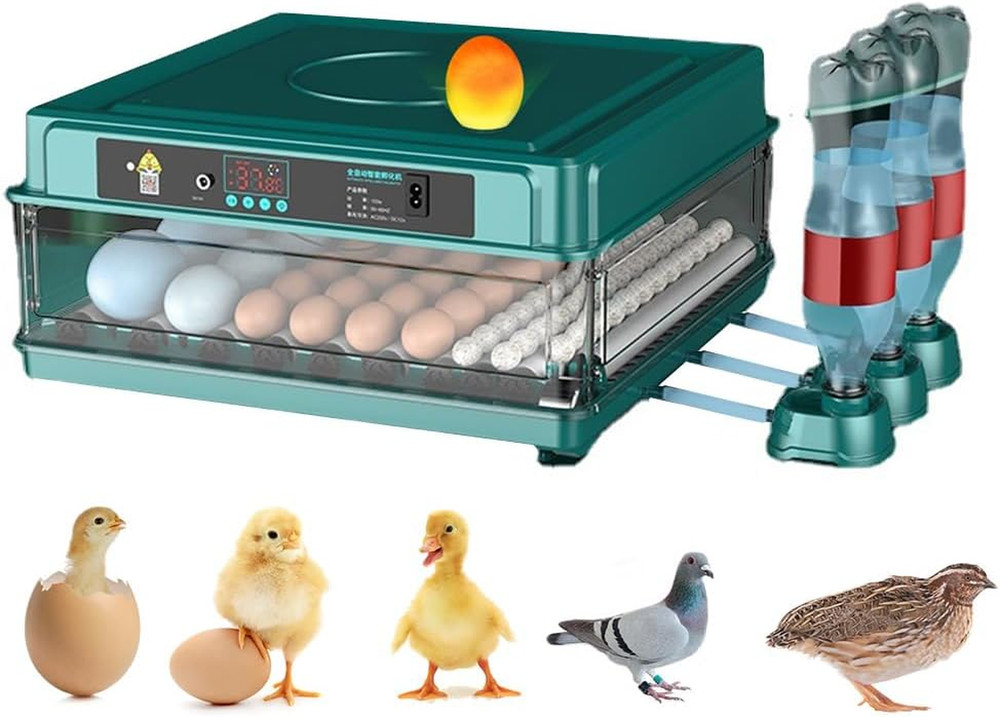 Automatic Egg Incubator 12-38 Egg Digital Poultry Hatcher Machine Ith Automatic