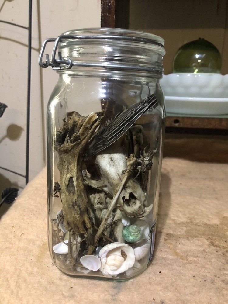 oddities weird stuff