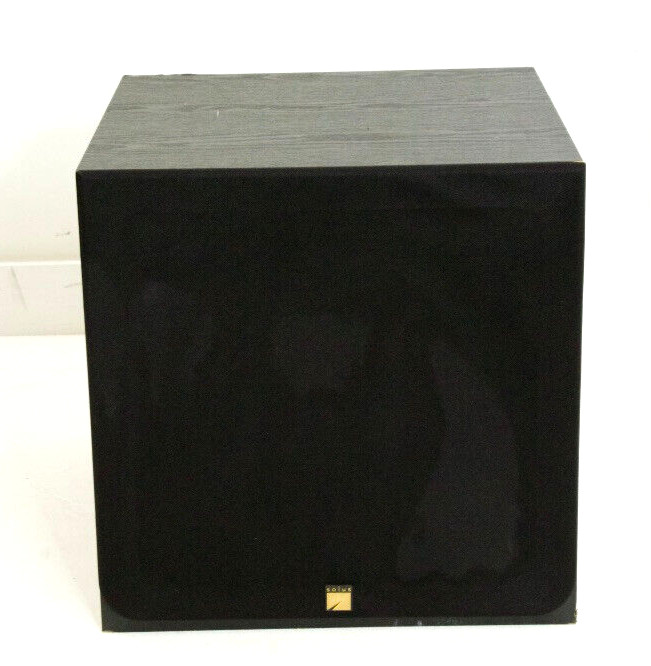 Solus SC-Richter-10 10" Powered Subwoofer/ Sub (Black) n890