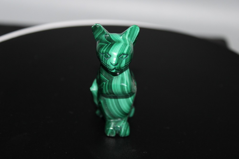 Malachite Cat