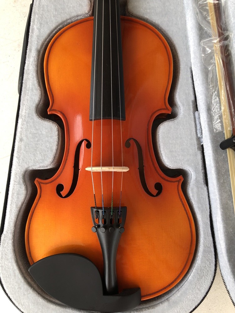 New 4/4 Violin One Piece Back(Stradivari 1698 Halier Model)