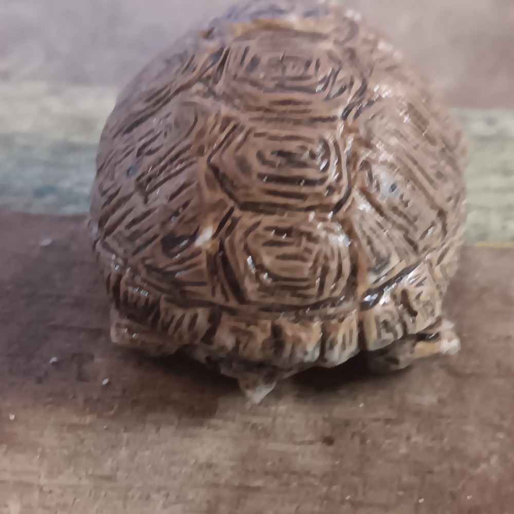 Vintage Tortoise Turtle Resin