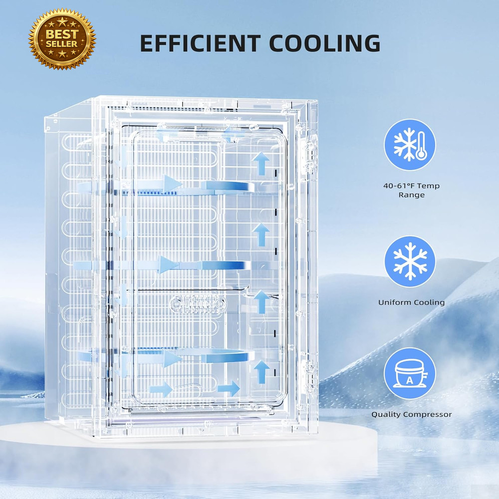 18L Beverage Refrigerator Cooler – 24 Can Mini Fridge with Compressor Cooling