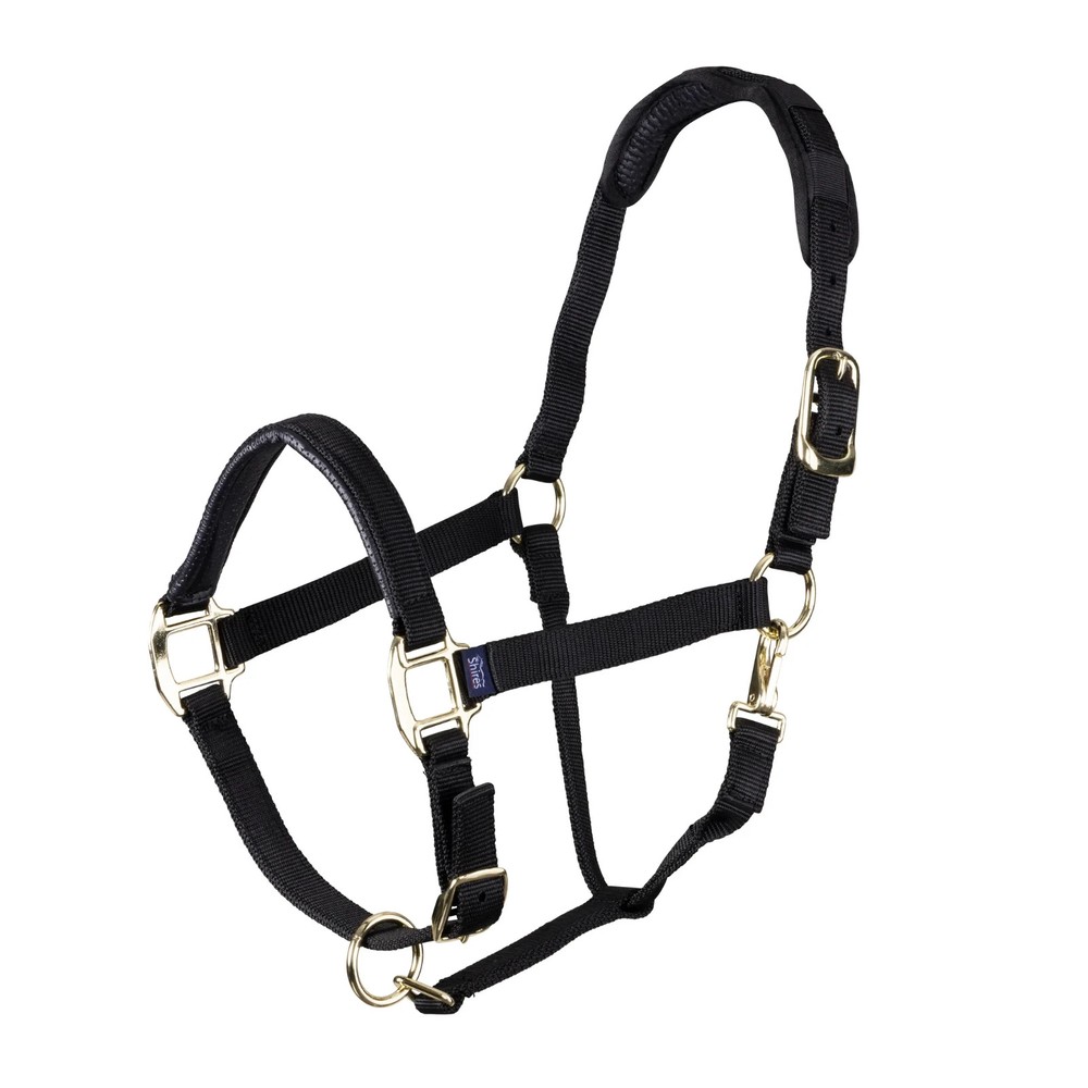 Break Away Halter