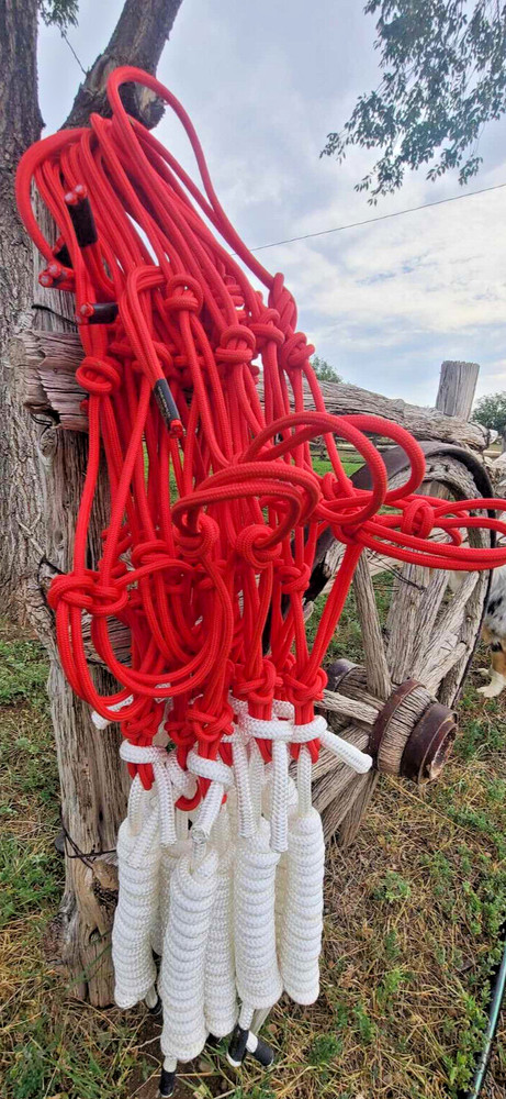 5 Good-Stout Custom rope halters! W/ 10 FT leads!
