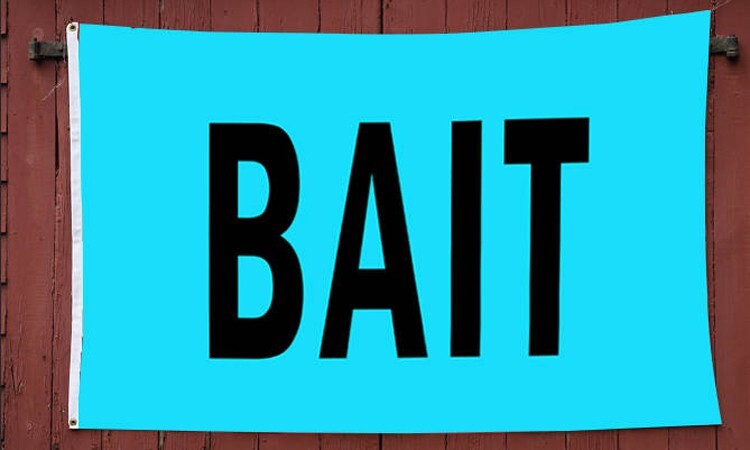 Stellar Fishing Bait 3' x 5' Polyester Flag