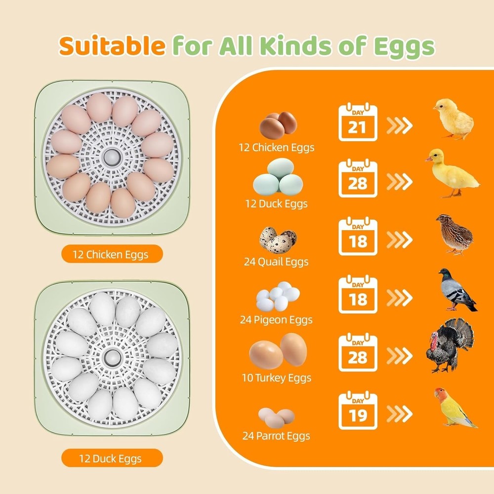 Fully Automatic Egg Incubator for Hatching Eggs, Auto Water Refill & Turner, ...