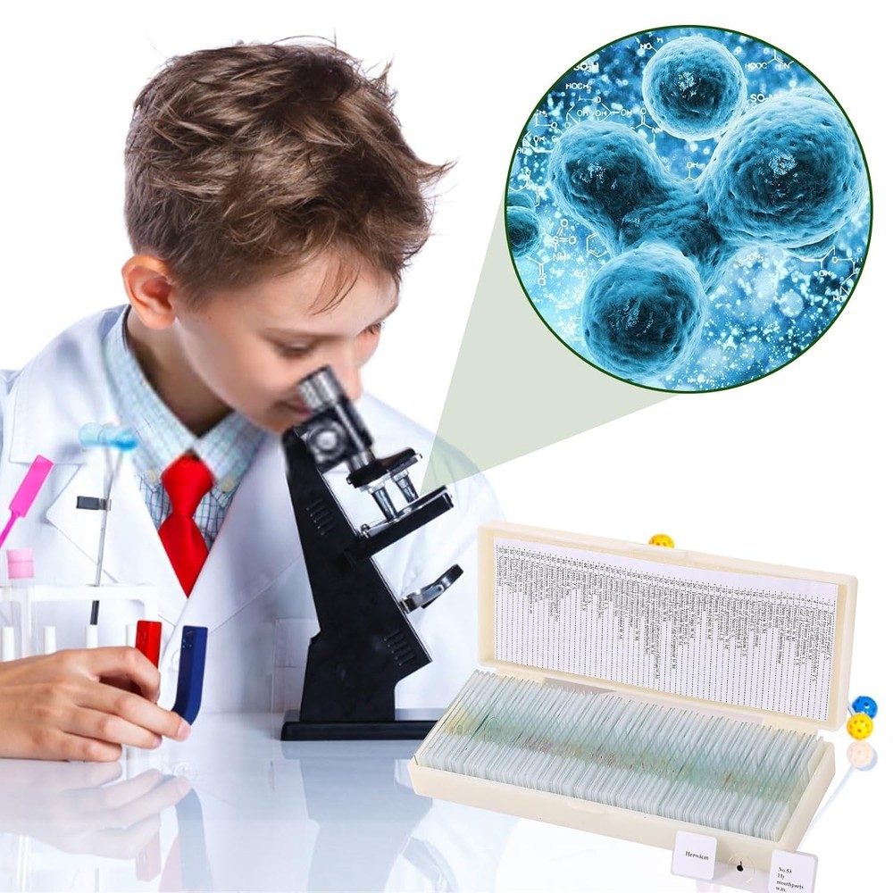 60-Piece Prepared Microscope Slide Set - Ideal for Biological Science Education