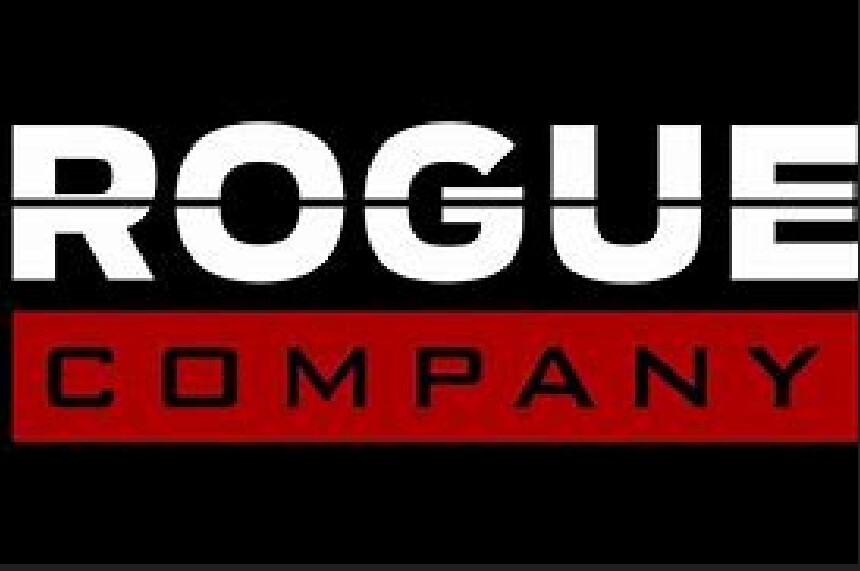 Rogue Company weapon skin key