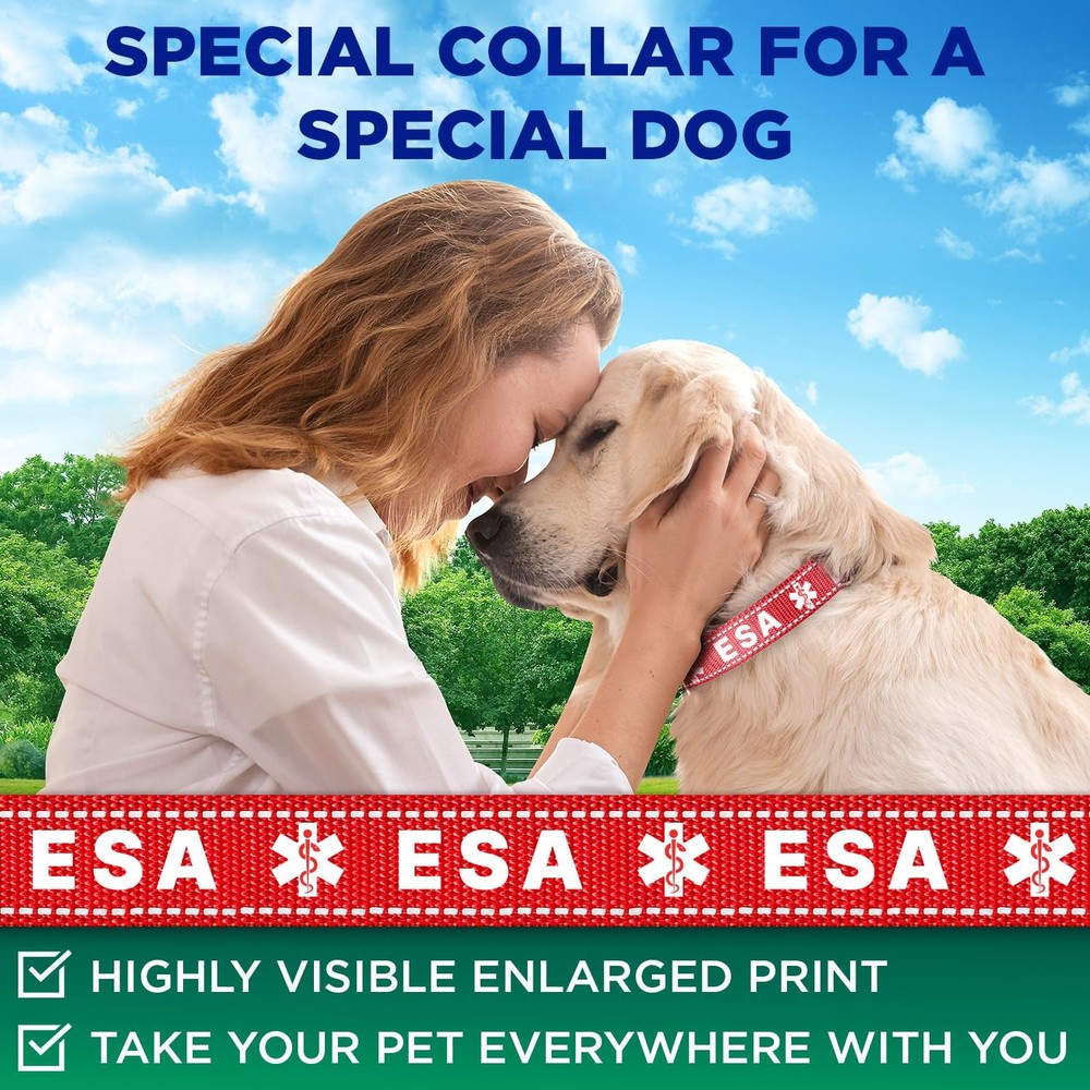 TECEUM Reflective Pet Collar – Red - ESA – M – Extra Soft Medium, -