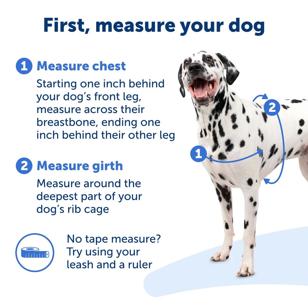 PetSafe Easy Walk Harness Small Black/Silver