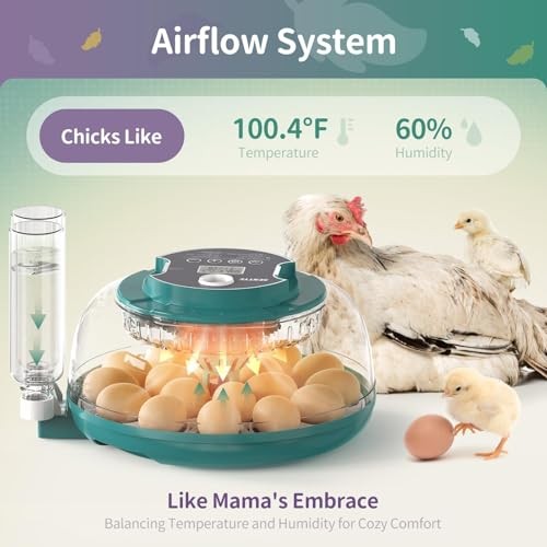 Automatic Egg Hatcher with LED Screen, Large Egg Incubator with Adjustable