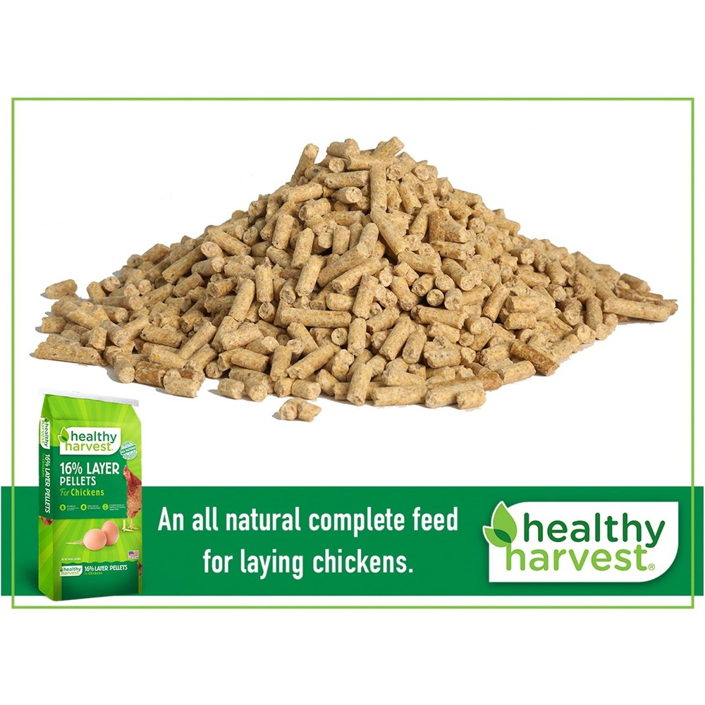 40 lb bag Chicken Feed for Egg Laying Chickens 16% Layer Pellets