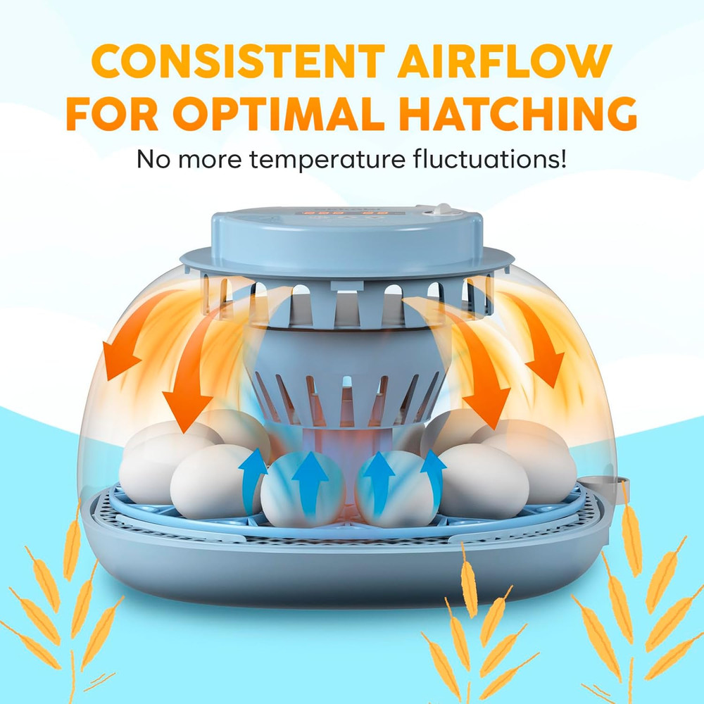 12 Egg Incubator with Automatic Egg Turning and Humidity Control – Egg Incubator