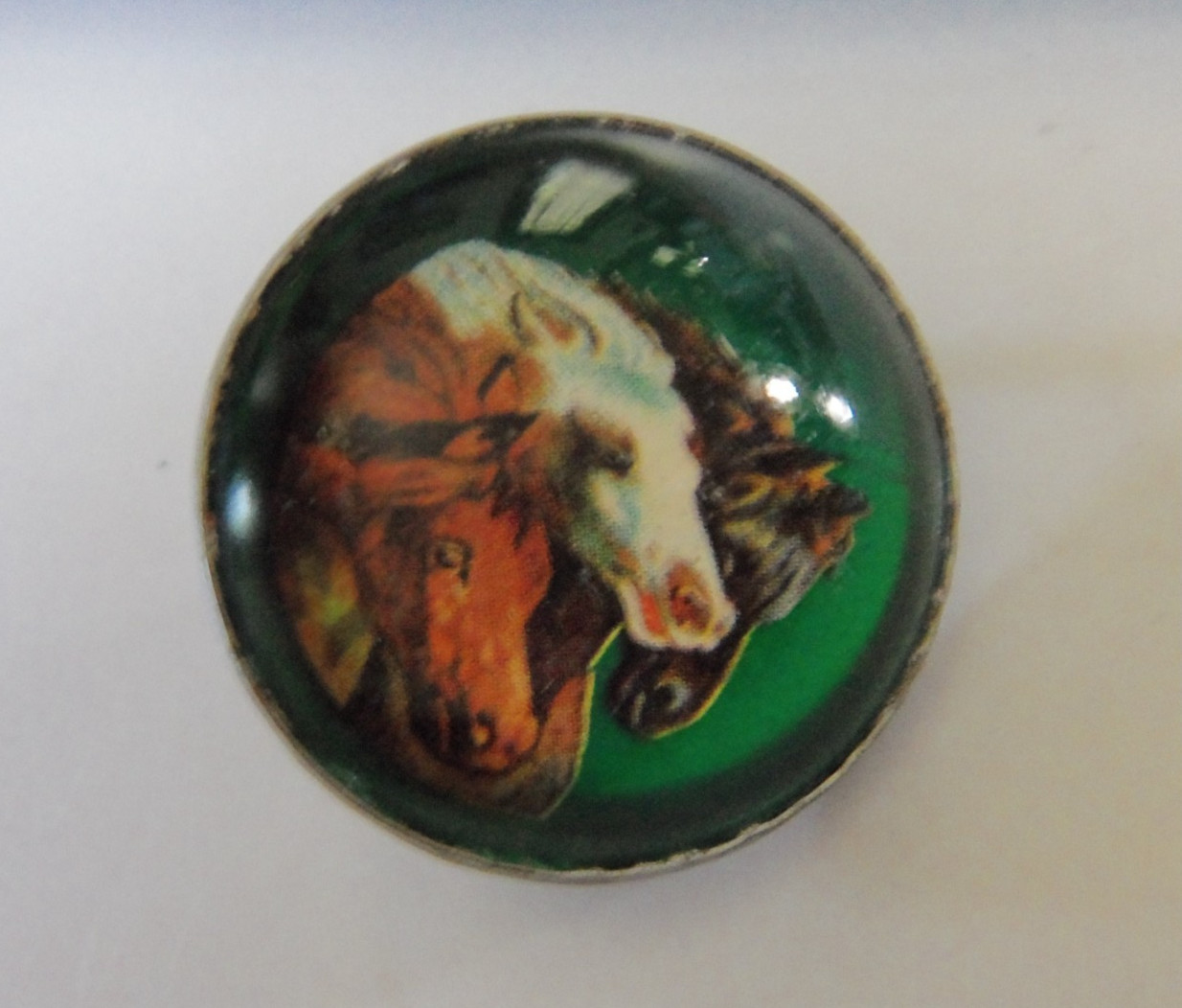 Vintage Glass Domed HORSE BRIDLE ROSETTES Equestrian Decorative Chapman MINN