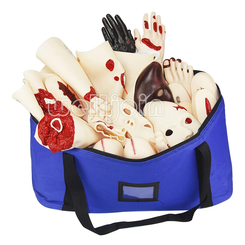 16Pc Trauma Evaluation Module First Aid Simulation Training Model Emergency Care