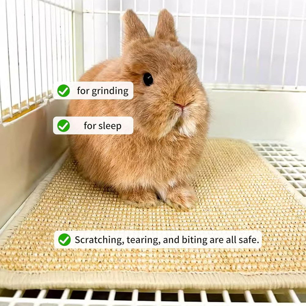 2PCS Rabbit Scratch Mat Natural Bunny Scratching Pad Claws and Teeth Care Rabbit