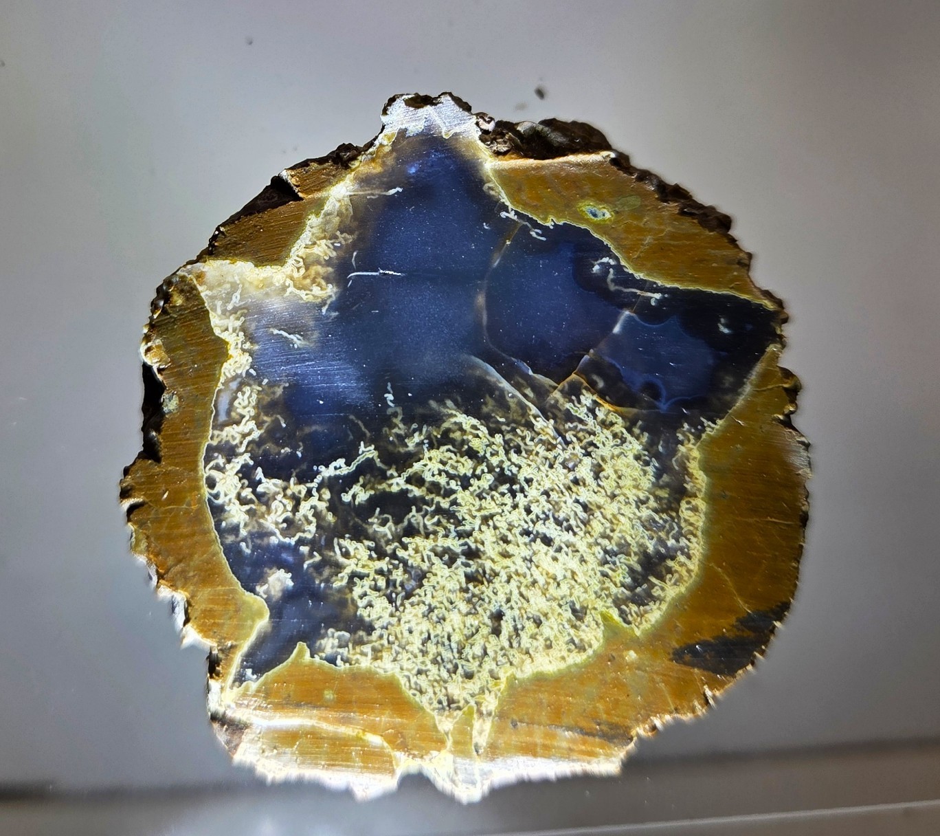 Priday Plume Agate Slab   42.7 grams  SPP002