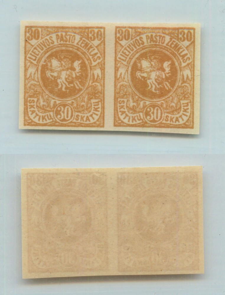 Lithuania 🇱🇹 1919 SC 53 MNH imperf horizontal pair. g1468