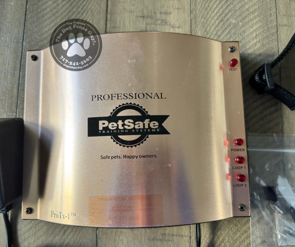 PetSafe Pro-TX1 System w/ 10k ProLite Receiver Collar
