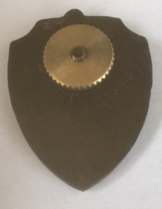 Soviet MVD Internal iroops pin badge