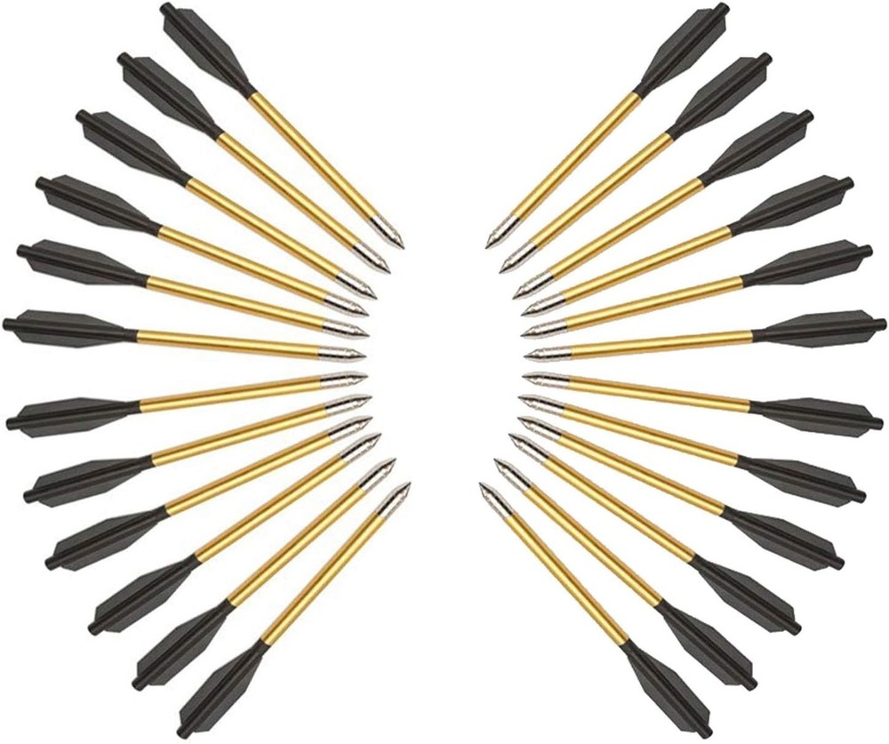 Self-Cocking Bundle with Adjustable Sights, Spare and Caps, 27 Aluminim Arrow...