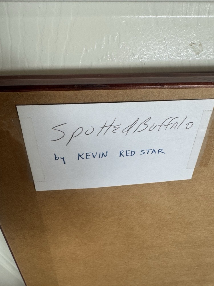 Spotted Buffalo Kevin Red Star Framed