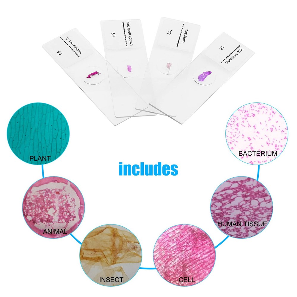 Microscope Slides, 100 Pcs Prepared Slides 100 pcs, Transparent