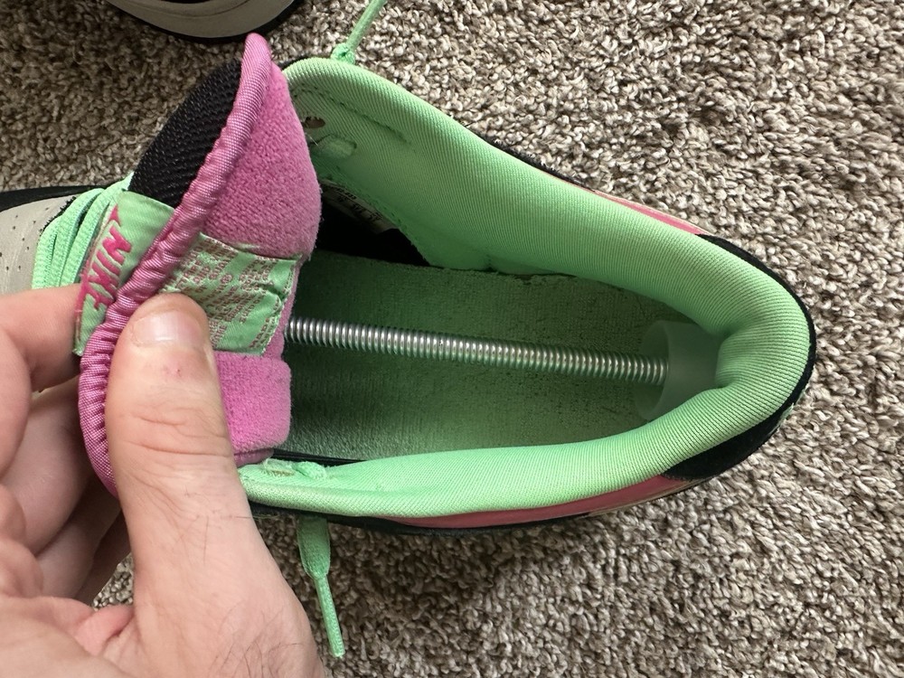 Nike SB Dunk Low Poison