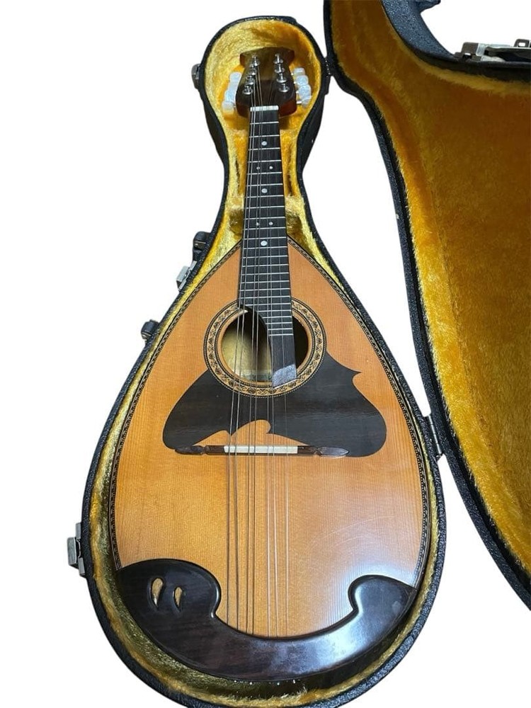 Suzuki violin mandolin M-218 with hard case