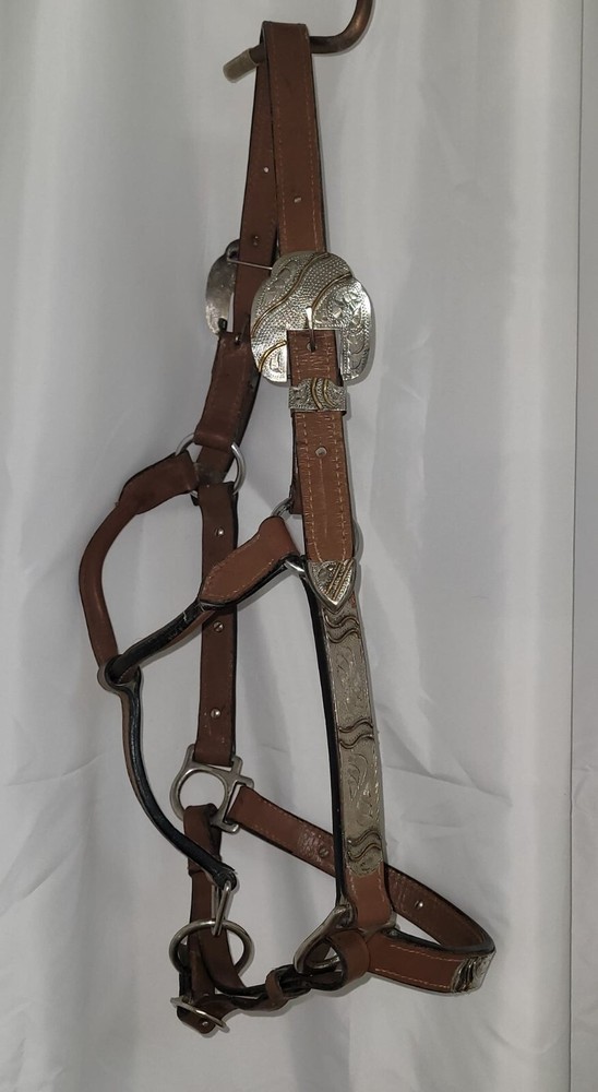 Showmanship Halter - silver embellishments