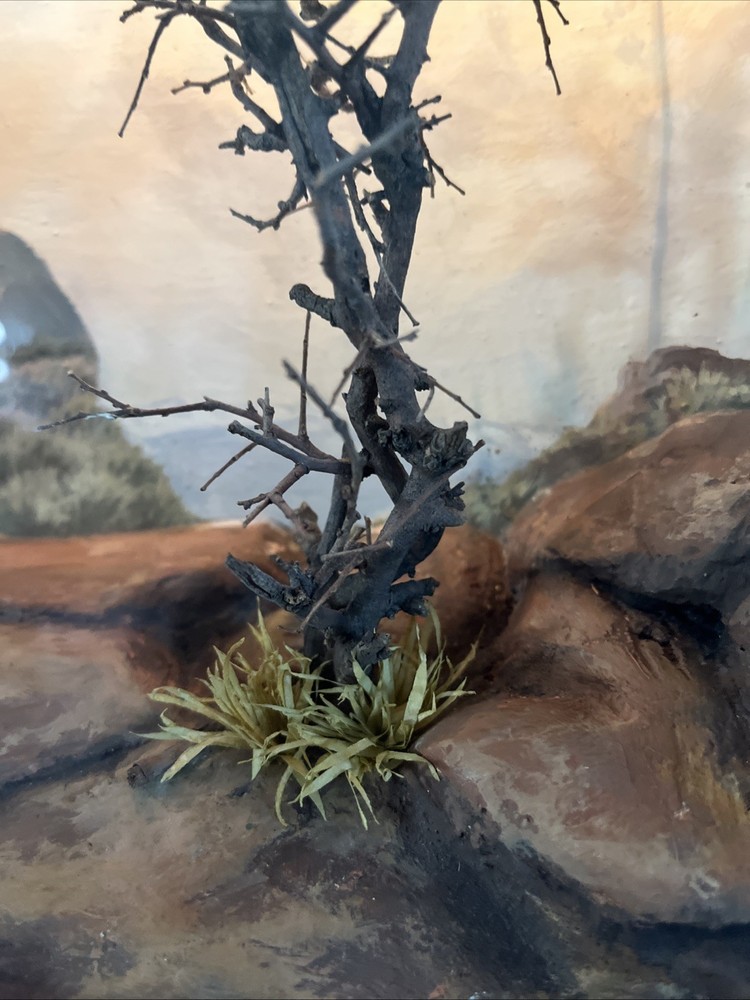 Diorama - RG Rodell - Nested - vintage Original signed shadowbox