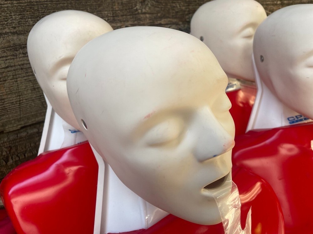 Life/Form Buddy Classroom Manikin 4 Adult/Child Basic Buddy Pack