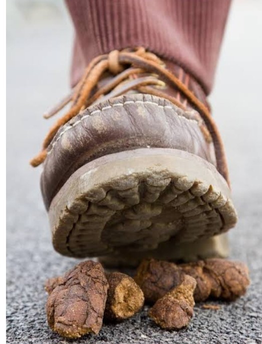 Liquid ASS Butt Crack Fart Spray New💩FREE SHIPPING $11.50 EA.