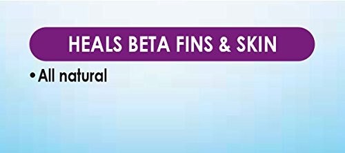 API Bettafix Betta Medication - 1.7 oz (93B)