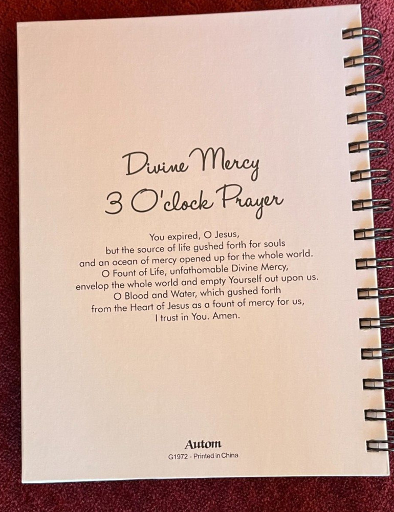 Divine Mercy Hardcover Journal/Notebk, New #AB-111