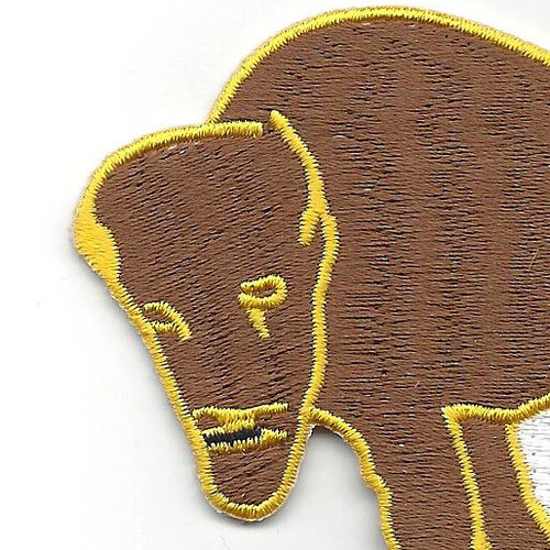 10th Cavalry Regiment Patch