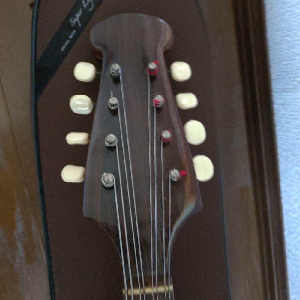 Colored Chemandolin 8 strings