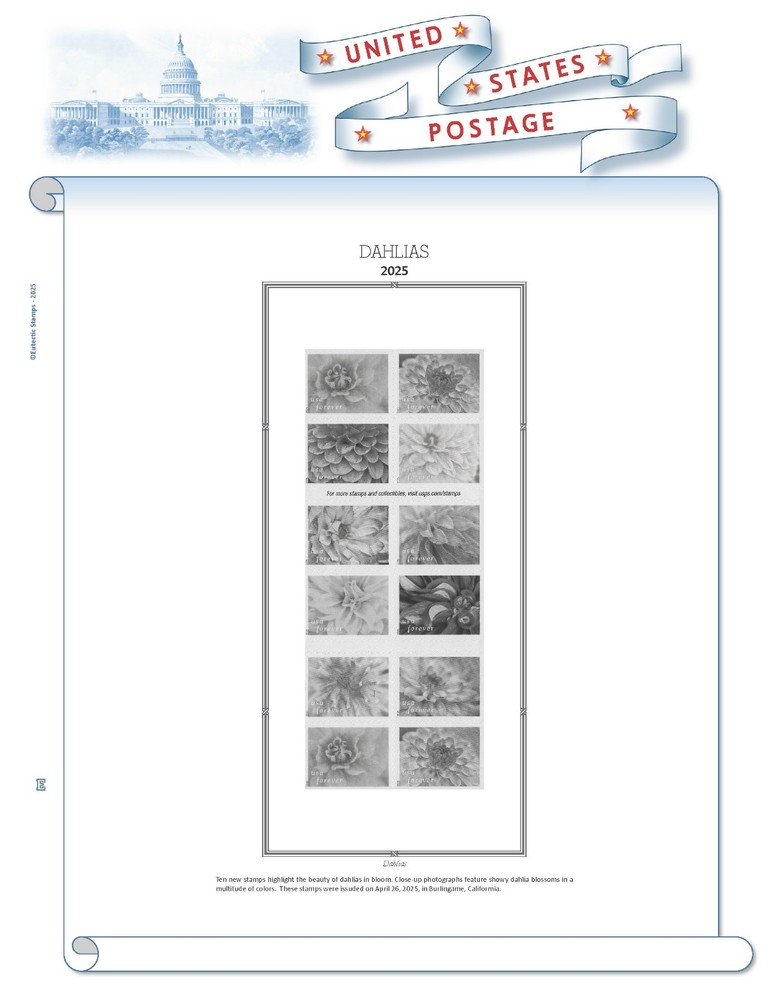 2025 U.S. Regular Issue Singles COMPLETE Supplement (White Ace Alternative)