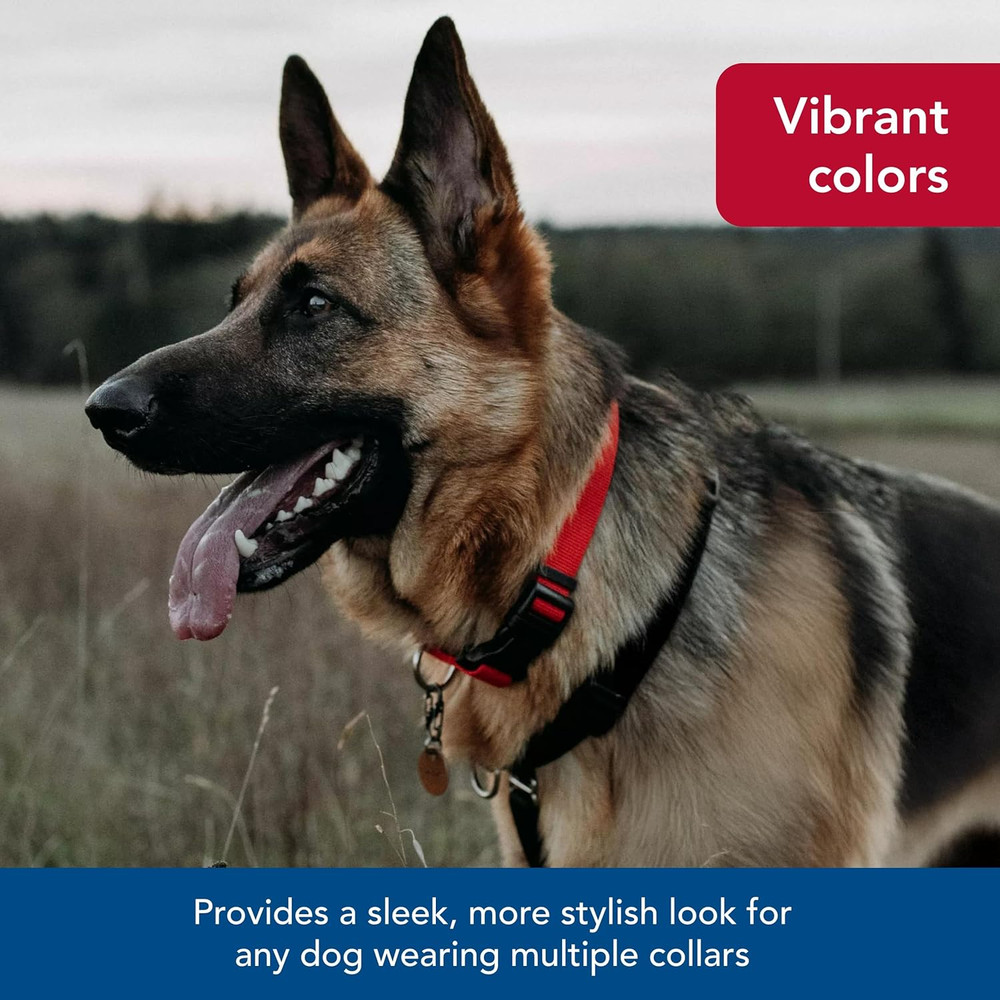 Pet Secureaway Collar Protector for Flea Collars - Adjustable Pet Accessory - Pr