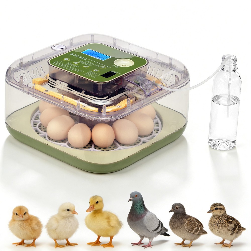 Automatic Egg Incubator for Hatching with Automatic Turning and Humidity-12 Eggs