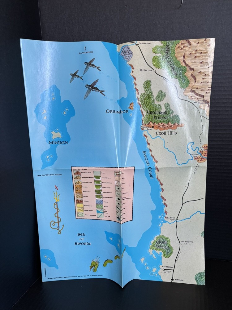 DUNGEONS & DRAGONS FORGOTTEN REALMS CAMPAIGN SETTING MAP-1993