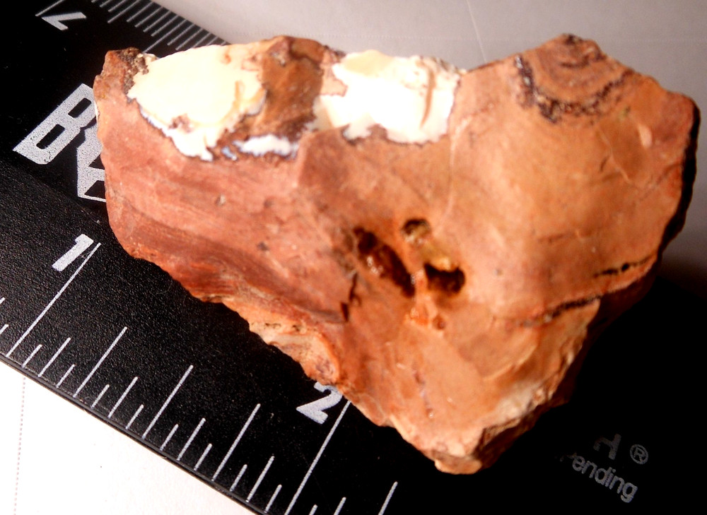 100ct Mexican Fire Opal Specimen Rough for Polishing
