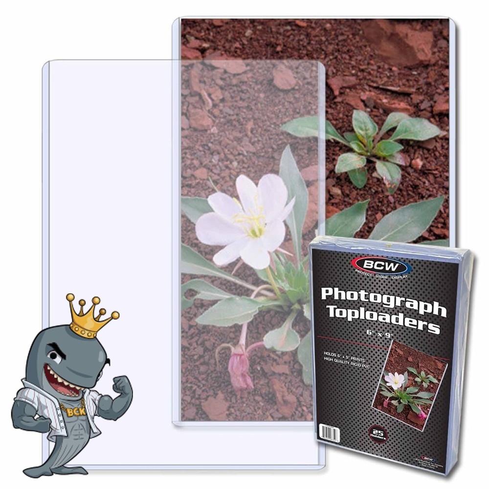 BCW 6x9 Topload Holder 25ct Pack FREE SHIP