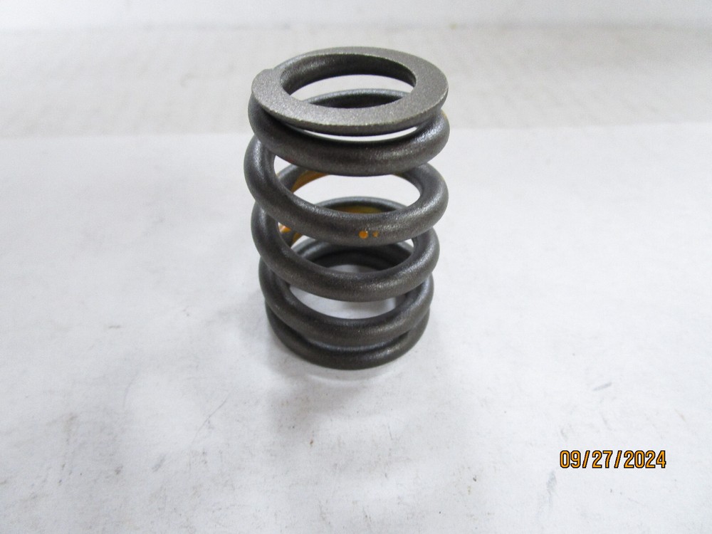 Engine Valve Spring SBI 160-1443