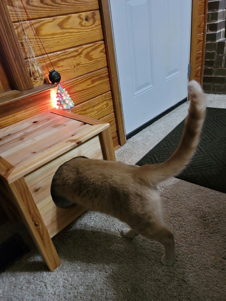 Hand Made Cedar Cat Bougie Condo Bed