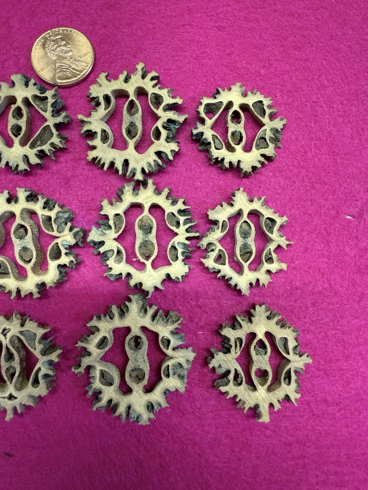 Black Walnut Shell Slices For Crafts - 20 Pieces - Vintage