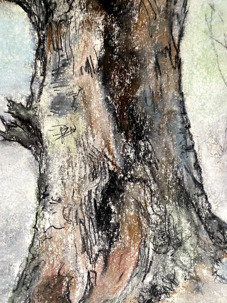 FRANZ EHMKE *1928-2018 GDR PAINTER PASTEL TREE BEECH SIGNED FOREST TRUNK BARK